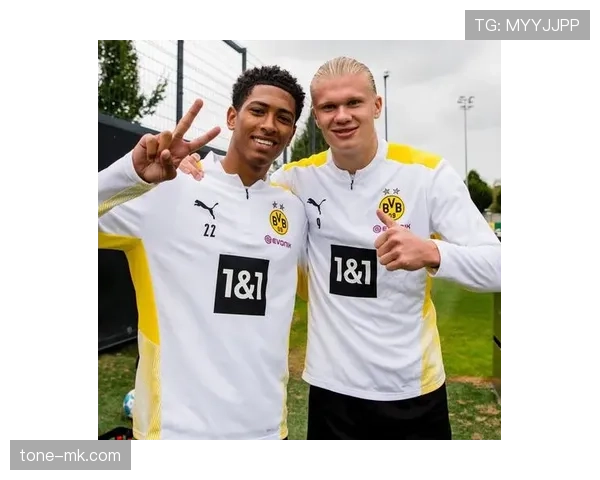 拜仁慕尼黑防守体系持续进化，赛季表现彰显顶级竞争力