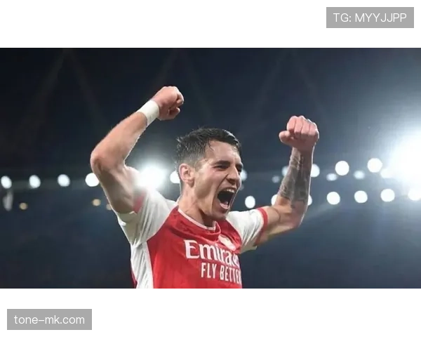 波尔图持续补强中场,球队整体竞争力显著提升 波尔图持续补强中场,球队整体竞争力显著提升