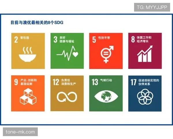 法兰克福启用新转会策略，专注青年人才与可持续发展趋势分析